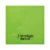 Carrelage métro plat carré couleur vert oasis 15x15